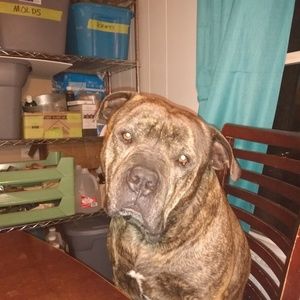 Meet your Posher, Irma